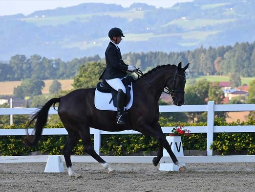 Professionelle Trainerin für Dressurpferde Daniela Weiß bildet Ihre Pferde für den Turniersport aus.